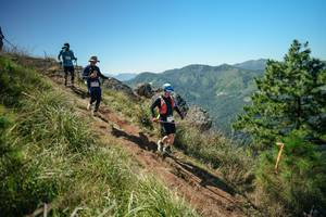 BIB: 
                            <button type="button" onclick="openModal(26624451)" class="btn btn-primary btn-sm float-right btn-popup" data-toggle="modal" data-target=".modal-high-quality">
                        <i class="fas fa-shopping-cart"></i> Add to Cart
                    </button>
                                            <button type="button" onclick="isThisMe(26624451, true)" class="btn btn-success btn-sm float-right btn-popup btn-isme hidden" data-toggle="tooltip" data-placement="bottom" title="นี่คือรูปของคุณใช่ไหม คลิกที่นี่เพื่อเอาเข้าอัลบั้ม">
                        <i class="fas fa-plus"></i> Add to album
                    </button>
                    <button type="button" onclick="isThisMe(26624451, false)" class="btn btn-warning btn-sm float-right btn-popup btn-isnotme hidden">
                        <i class="fas fa-ban"></i> Remove from album
                    </button>