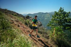 BIB: 
                            <button type="button" onclick="openModal(26633451)" class="btn btn-primary btn-sm float-right btn-popup" data-toggle="modal" data-target=".modal-high-quality">
                        <i class="fas fa-shopping-cart"></i> Add to Cart
                    </button>
                                            <button type="button" onclick="isThisMe(26633451, true)" class="btn btn-success btn-sm float-right btn-popup btn-isme hidden" data-toggle="tooltip" data-placement="bottom" title="นี่คือรูปของคุณใช่ไหม คลิกที่นี่เพื่อเอาเข้าอัลบั้ม">
                        <i class="fas fa-plus"></i> Add to album
                    </button>
                    <button type="button" onclick="isThisMe(26633451, false)" class="btn btn-warning btn-sm float-right btn-popup btn-isnotme hidden">
                        <i class="fas fa-ban"></i> Remove from album
                    </button>