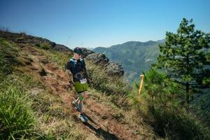 BIB: 
                            <button type="button" onclick="openModal(26633587)" class="btn btn-primary btn-sm float-right btn-popup" data-toggle="modal" data-target=".modal-high-quality">
                        <i class="fas fa-shopping-cart"></i> Add to Cart
                    </button>
                                            <button type="button" onclick="isThisMe(26633587, true)" class="btn btn-success btn-sm float-right btn-popup btn-isme hidden" data-toggle="tooltip" data-placement="bottom" title="นี่คือรูปของคุณใช่ไหม คลิกที่นี่เพื่อเอาเข้าอัลบั้ม">
                        <i class="fas fa-plus"></i> Add to album
                    </button>
                    <button type="button" onclick="isThisMe(26633587, false)" class="btn btn-warning btn-sm float-right btn-popup btn-isnotme hidden">
                        <i class="fas fa-ban"></i> Remove from album
                    </button>