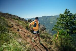 BIB: 
                            <button type="button" onclick="openModal(26633483)" class="btn btn-primary btn-sm float-right btn-popup" data-toggle="modal" data-target=".modal-high-quality">
                        <i class="fas fa-shopping-cart"></i> Add to Cart
                    </button>
                                            <button type="button" onclick="isThisMe(26633483, true)" class="btn btn-success btn-sm float-right btn-popup btn-isme hidden" data-toggle="tooltip" data-placement="bottom" title="นี่คือรูปของคุณใช่ไหม คลิกที่นี่เพื่อเอาเข้าอัลบั้ม">
                        <i class="fas fa-plus"></i> Add to album
                    </button>
                    <button type="button" onclick="isThisMe(26633483, false)" class="btn btn-warning btn-sm float-right btn-popup btn-isnotme hidden">
                        <i class="fas fa-ban"></i> Remove from album
                    </button>