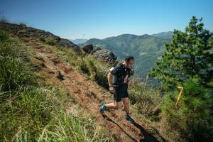 BIB: 
                            <button type="button" onclick="openModal(26631688)" class="btn btn-primary btn-sm float-right btn-popup" data-toggle="modal" data-target=".modal-high-quality">
                        <i class="fas fa-shopping-cart"></i> Add to Cart
                    </button>
                                            <button type="button" onclick="isThisMe(26631688, true)" class="btn btn-success btn-sm float-right btn-popup btn-isme hidden" data-toggle="tooltip" data-placement="bottom" title="นี่คือรูปของคุณใช่ไหม คลิกที่นี่เพื่อเอาเข้าอัลบั้ม">
                        <i class="fas fa-plus"></i> Add to album
                    </button>
                    <button type="button" onclick="isThisMe(26631688, false)" class="btn btn-warning btn-sm float-right btn-popup btn-isnotme hidden">
                        <i class="fas fa-ban"></i> Remove from album
                    </button>