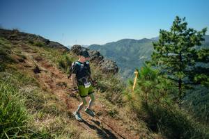 BIB: 
                            <button type="button" onclick="openModal(26633597)" class="btn btn-primary btn-sm float-right btn-popup" data-toggle="modal" data-target=".modal-high-quality">
                        <i class="fas fa-shopping-cart"></i> Add to Cart
                    </button>
                                            <button type="button" onclick="isThisMe(26633597, true)" class="btn btn-success btn-sm float-right btn-popup btn-isme hidden" data-toggle="tooltip" data-placement="bottom" title="นี่คือรูปของคุณใช่ไหม คลิกที่นี่เพื่อเอาเข้าอัลบั้ม">
                        <i class="fas fa-plus"></i> Add to album
                    </button>
                    <button type="button" onclick="isThisMe(26633597, false)" class="btn btn-warning btn-sm float-right btn-popup btn-isnotme hidden">
                        <i class="fas fa-ban"></i> Remove from album
                    </button>