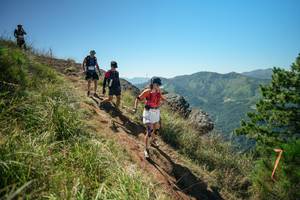 BIB: 
                            <button type="button" onclick="openModal(26632413)" class="btn btn-primary btn-sm float-right btn-popup" data-toggle="modal" data-target=".modal-high-quality">
                        <i class="fas fa-shopping-cart"></i> Add to Cart
                    </button>
                                            <button type="button" onclick="isThisMe(26632413, true)" class="btn btn-success btn-sm float-right btn-popup btn-isme hidden" data-toggle="tooltip" data-placement="bottom" title="นี่คือรูปของคุณใช่ไหม คลิกที่นี่เพื่อเอาเข้าอัลบั้ม">
                        <i class="fas fa-plus"></i> Add to album
                    </button>
                    <button type="button" onclick="isThisMe(26632413, false)" class="btn btn-warning btn-sm float-right btn-popup btn-isnotme hidden">
                        <i class="fas fa-ban"></i> Remove from album
                    </button>