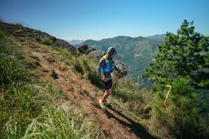 BIB: 
                            <button type="button" onclick="openModal(26631533)" class="btn btn-primary btn-sm float-right btn-popup" data-toggle="modal" data-target=".modal-high-quality">
                        <i class="fas fa-shopping-cart"></i> Add to Cart
                    </button>
                                            <button type="button" onclick="isThisMe(26631533, true)" class="btn btn-success btn-sm float-right btn-popup btn-isme hidden" data-toggle="tooltip" data-placement="bottom" title="นี่คือรูปของคุณใช่ไหม คลิกที่นี่เพื่อเอาเข้าอัลบั้ม">
                        <i class="fas fa-plus"></i> Add to album
                    </button>
                    <button type="button" onclick="isThisMe(26631533, false)" class="btn btn-warning btn-sm float-right btn-popup btn-isnotme hidden">
                        <i class="fas fa-ban"></i> Remove from album
                    </button>