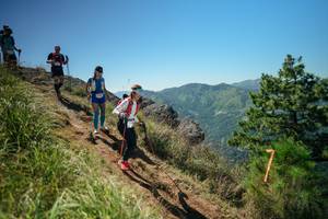 BIB: 
                            <button type="button" onclick="openModal(26633097)" class="btn btn-primary btn-sm float-right btn-popup" data-toggle="modal" data-target=".modal-high-quality">
                        <i class="fas fa-shopping-cart"></i> Add to Cart
                    </button>
                                            <button type="button" onclick="isThisMe(26633097, true)" class="btn btn-success btn-sm float-right btn-popup btn-isme hidden" data-toggle="tooltip" data-placement="bottom" title="นี่คือรูปของคุณใช่ไหม คลิกที่นี่เพื่อเอาเข้าอัลบั้ม">
                        <i class="fas fa-plus"></i> Add to album
                    </button>
                    <button type="button" onclick="isThisMe(26633097, false)" class="btn btn-warning btn-sm float-right btn-popup btn-isnotme hidden">
                        <i class="fas fa-ban"></i> Remove from album
                    </button>