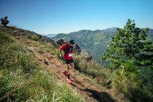 BIB: 
                            <button type="button" onclick="openModal(26623471)" class="btn btn-primary btn-sm float-right btn-popup" data-toggle="modal" data-target=".modal-high-quality">
                        <i class="fas fa-shopping-cart"></i> Add to Cart
                    </button>
                                            <button type="button" onclick="isThisMe(26623471, true)" class="btn btn-success btn-sm float-right btn-popup btn-isme hidden" data-toggle="tooltip" data-placement="bottom" title="นี่คือรูปของคุณใช่ไหม คลิกที่นี่เพื่อเอาเข้าอัลบั้ม">
                        <i class="fas fa-plus"></i> Add to album
                    </button>
                    <button type="button" onclick="isThisMe(26623471, false)" class="btn btn-warning btn-sm float-right btn-popup btn-isnotme hidden">
                        <i class="fas fa-ban"></i> Remove from album
                    </button>