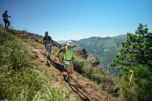 BIB: 
                            <button type="button" onclick="openModal(26632170)" class="btn btn-primary btn-sm float-right btn-popup" data-toggle="modal" data-target=".modal-high-quality">
                        <i class="fas fa-shopping-cart"></i> Add to Cart
                    </button>
                                            <button type="button" onclick="isThisMe(26632170, true)" class="btn btn-success btn-sm float-right btn-popup btn-isme hidden" data-toggle="tooltip" data-placement="bottom" title="นี่คือรูปของคุณใช่ไหม คลิกที่นี่เพื่อเอาเข้าอัลบั้ม">
                        <i class="fas fa-plus"></i> Add to album
                    </button>
                    <button type="button" onclick="isThisMe(26632170, false)" class="btn btn-warning btn-sm float-right btn-popup btn-isnotme hidden">
                        <i class="fas fa-ban"></i> Remove from album
                    </button>