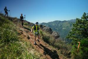 BIB: 
                            <button type="button" onclick="openModal(26631313)" class="btn btn-primary btn-sm float-right btn-popup" data-toggle="modal" data-target=".modal-high-quality">
                        <i class="fas fa-shopping-cart"></i> Add to Cart
                    </button>
                                            <button type="button" onclick="isThisMe(26631313, true)" class="btn btn-success btn-sm float-right btn-popup btn-isme hidden" data-toggle="tooltip" data-placement="bottom" title="นี่คือรูปของคุณใช่ไหม คลิกที่นี่เพื่อเอาเข้าอัลบั้ม">
                        <i class="fas fa-plus"></i> Add to album
                    </button>
                    <button type="button" onclick="isThisMe(26631313, false)" class="btn btn-warning btn-sm float-right btn-popup btn-isnotme hidden">
                        <i class="fas fa-ban"></i> Remove from album
                    </button>