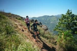 BIB: 
                            <button type="button" onclick="openModal(26632876)" class="btn btn-primary btn-sm float-right btn-popup" data-toggle="modal" data-target=".modal-high-quality">
                        <i class="fas fa-shopping-cart"></i> Add to Cart
                    </button>
                                            <button type="button" onclick="isThisMe(26632876, true)" class="btn btn-success btn-sm float-right btn-popup btn-isme hidden" data-toggle="tooltip" data-placement="bottom" title="นี่คือรูปของคุณใช่ไหม คลิกที่นี่เพื่อเอาเข้าอัลบั้ม">
                        <i class="fas fa-plus"></i> Add to album
                    </button>
                    <button type="button" onclick="isThisMe(26632876, false)" class="btn btn-warning btn-sm float-right btn-popup btn-isnotme hidden">
                        <i class="fas fa-ban"></i> Remove from album
                    </button>