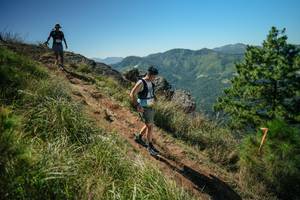 BIB: 
                            <button type="button" onclick="openModal(26628380)" class="btn btn-primary btn-sm float-right btn-popup" data-toggle="modal" data-target=".modal-high-quality">
                        <i class="fas fa-shopping-cart"></i> Add to Cart
                    </button>
                                            <button type="button" onclick="isThisMe(26628380, true)" class="btn btn-success btn-sm float-right btn-popup btn-isme hidden" data-toggle="tooltip" data-placement="bottom" title="นี่คือรูปของคุณใช่ไหม คลิกที่นี่เพื่อเอาเข้าอัลบั้ม">
                        <i class="fas fa-plus"></i> Add to album
                    </button>
                    <button type="button" onclick="isThisMe(26628380, false)" class="btn btn-warning btn-sm float-right btn-popup btn-isnotme hidden">
                        <i class="fas fa-ban"></i> Remove from album
                    </button>