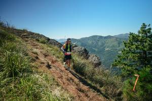 BIB: 
                            <button type="button" onclick="openModal(26631614)" class="btn btn-primary btn-sm float-right btn-popup" data-toggle="modal" data-target=".modal-high-quality">
                        <i class="fas fa-shopping-cart"></i> Add to Cart
                    </button>
                                            <button type="button" onclick="isThisMe(26631614, true)" class="btn btn-success btn-sm float-right btn-popup btn-isme hidden" data-toggle="tooltip" data-placement="bottom" title="นี่คือรูปของคุณใช่ไหม คลิกที่นี่เพื่อเอาเข้าอัลบั้ม">
                        <i class="fas fa-plus"></i> Add to album
                    </button>
                    <button type="button" onclick="isThisMe(26631614, false)" class="btn btn-warning btn-sm float-right btn-popup btn-isnotme hidden">
                        <i class="fas fa-ban"></i> Remove from album
                    </button>