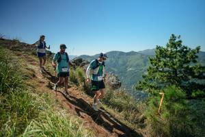 BIB: 
                            <button type="button" onclick="openModal(26633162)" class="btn btn-primary btn-sm float-right btn-popup" data-toggle="modal" data-target=".modal-high-quality">
                        <i class="fas fa-shopping-cart"></i> Add to Cart
                    </button>
                                            <button type="button" onclick="isThisMe(26633162, true)" class="btn btn-success btn-sm float-right btn-popup btn-isme hidden" data-toggle="tooltip" data-placement="bottom" title="นี่คือรูปของคุณใช่ไหม คลิกที่นี่เพื่อเอาเข้าอัลบั้ม">
                        <i class="fas fa-plus"></i> Add to album
                    </button>
                    <button type="button" onclick="isThisMe(26633162, false)" class="btn btn-warning btn-sm float-right btn-popup btn-isnotme hidden">
                        <i class="fas fa-ban"></i> Remove from album
                    </button>