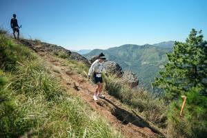 BIB: 
                            <button type="button" onclick="openModal(26625842)" class="btn btn-primary btn-sm float-right btn-popup" data-toggle="modal" data-target=".modal-high-quality">
                        <i class="fas fa-shopping-cart"></i> Add to Cart
                    </button>
                                            <button type="button" onclick="isThisMe(26625842, true)" class="btn btn-success btn-sm float-right btn-popup btn-isme hidden" data-toggle="tooltip" data-placement="bottom" title="นี่คือรูปของคุณใช่ไหม คลิกที่นี่เพื่อเอาเข้าอัลบั้ม">
                        <i class="fas fa-plus"></i> Add to album
                    </button>
                    <button type="button" onclick="isThisMe(26625842, false)" class="btn btn-warning btn-sm float-right btn-popup btn-isnotme hidden">
                        <i class="fas fa-ban"></i> Remove from album
                    </button>