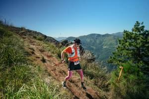 BIB: 
                            <button type="button" onclick="openModal(26631077)" class="btn btn-primary btn-sm float-right btn-popup" data-toggle="modal" data-target=".modal-high-quality">
                        <i class="fas fa-shopping-cart"></i> Add to Cart
                    </button>
                                            <button type="button" onclick="isThisMe(26631077, true)" class="btn btn-success btn-sm float-right btn-popup btn-isme hidden" data-toggle="tooltip" data-placement="bottom" title="นี่คือรูปของคุณใช่ไหม คลิกที่นี่เพื่อเอาเข้าอัลบั้ม">
                        <i class="fas fa-plus"></i> Add to album
                    </button>
                    <button type="button" onclick="isThisMe(26631077, false)" class="btn btn-warning btn-sm float-right btn-popup btn-isnotme hidden">
                        <i class="fas fa-ban"></i> Remove from album
                    </button>