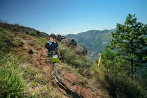 BIB: 
                            <button type="button" onclick="openModal(26633576)" class="btn btn-primary btn-sm float-right btn-popup" data-toggle="modal" data-target=".modal-high-quality">
                        <i class="fas fa-shopping-cart"></i> Add to Cart
                    </button>
                                            <button type="button" onclick="isThisMe(26633576, true)" class="btn btn-success btn-sm float-right btn-popup btn-isme hidden" data-toggle="tooltip" data-placement="bottom" title="นี่คือรูปของคุณใช่ไหม คลิกที่นี่เพื่อเอาเข้าอัลบั้ม">
                        <i class="fas fa-plus"></i> Add to album
                    </button>
                    <button type="button" onclick="isThisMe(26633576, false)" class="btn btn-warning btn-sm float-right btn-popup btn-isnotme hidden">
                        <i class="fas fa-ban"></i> Remove from album
                    </button>