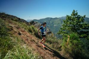 BIB: 
                            <button type="button" onclick="openModal(26631397)" class="btn btn-primary btn-sm float-right btn-popup" data-toggle="modal" data-target=".modal-high-quality">
                        <i class="fas fa-shopping-cart"></i> Add to Cart
                    </button>
                                            <button type="button" onclick="isThisMe(26631397, true)" class="btn btn-success btn-sm float-right btn-popup btn-isme hidden" data-toggle="tooltip" data-placement="bottom" title="นี่คือรูปของคุณใช่ไหม คลิกที่นี่เพื่อเอาเข้าอัลบั้ม">
                        <i class="fas fa-plus"></i> Add to album
                    </button>
                    <button type="button" onclick="isThisMe(26631397, false)" class="btn btn-warning btn-sm float-right btn-popup btn-isnotme hidden">
                        <i class="fas fa-ban"></i> Remove from album
                    </button>