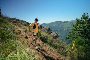 BIB: 
                            <button type="button" onclick="openModal(26633454)" class="btn btn-primary btn-sm float-right btn-popup" data-toggle="modal" data-target=".modal-high-quality">
                        <i class="fas fa-shopping-cart"></i> Add to Cart
                    </button>
                                            <button type="button" onclick="isThisMe(26633454, true)" class="btn btn-success btn-sm float-right btn-popup btn-isme hidden" data-toggle="tooltip" data-placement="bottom" title="นี่คือรูปของคุณใช่ไหม คลิกที่นี่เพื่อเอาเข้าอัลบั้ม">
                        <i class="fas fa-plus"></i> Add to album
                    </button>
                    <button type="button" onclick="isThisMe(26633454, false)" class="btn btn-warning btn-sm float-right btn-popup btn-isnotme hidden">
                        <i class="fas fa-ban"></i> Remove from album
                    </button>