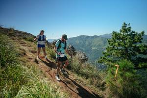 BIB: 
                            <button type="button" onclick="openModal(26633175)" class="btn btn-primary btn-sm float-right btn-popup" data-toggle="modal" data-target=".modal-high-quality">
                        <i class="fas fa-shopping-cart"></i> Add to Cart
                    </button>
                                            <button type="button" onclick="isThisMe(26633175, true)" class="btn btn-success btn-sm float-right btn-popup btn-isme hidden" data-toggle="tooltip" data-placement="bottom" title="นี่คือรูปของคุณใช่ไหม คลิกที่นี่เพื่อเอาเข้าอัลบั้ม">
                        <i class="fas fa-plus"></i> Add to album
                    </button>
                    <button type="button" onclick="isThisMe(26633175, false)" class="btn btn-warning btn-sm float-right btn-popup btn-isnotme hidden">
                        <i class="fas fa-ban"></i> Remove from album
                    </button>