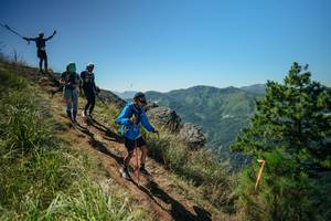 BIB: 
                            <button type="button" onclick="openModal(26631094)" class="btn btn-primary btn-sm float-right btn-popup" data-toggle="modal" data-target=".modal-high-quality">
                        <i class="fas fa-shopping-cart"></i> Add to Cart
                    </button>
                                            <button type="button" onclick="isThisMe(26631094, true)" class="btn btn-success btn-sm float-right btn-popup btn-isme hidden" data-toggle="tooltip" data-placement="bottom" title="นี่คือรูปของคุณใช่ไหม คลิกที่นี่เพื่อเอาเข้าอัลบั้ม">
                        <i class="fas fa-plus"></i> Add to album
                    </button>
                    <button type="button" onclick="isThisMe(26631094, false)" class="btn btn-warning btn-sm float-right btn-popup btn-isnotme hidden">
                        <i class="fas fa-ban"></i> Remove from album
                    </button>