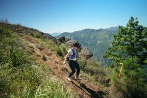 BIB: 
                            <button type="button" onclick="openModal(26632256)" class="btn btn-primary btn-sm float-right btn-popup" data-toggle="modal" data-target=".modal-high-quality">
                        <i class="fas fa-shopping-cart"></i> Add to Cart
                    </button>
                                            <button type="button" onclick="isThisMe(26632256, true)" class="btn btn-success btn-sm float-right btn-popup btn-isme hidden" data-toggle="tooltip" data-placement="bottom" title="นี่คือรูปของคุณใช่ไหม คลิกที่นี่เพื่อเอาเข้าอัลบั้ม">
                        <i class="fas fa-plus"></i> Add to album
                    </button>
                    <button type="button" onclick="isThisMe(26632256, false)" class="btn btn-warning btn-sm float-right btn-popup btn-isnotme hidden">
                        <i class="fas fa-ban"></i> Remove from album
                    </button>