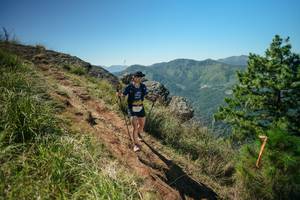 BIB: 
                            <button type="button" onclick="openModal(26631440)" class="btn btn-primary btn-sm float-right btn-popup" data-toggle="modal" data-target=".modal-high-quality">
                        <i class="fas fa-shopping-cart"></i> Add to Cart
                    </button>
                                            <button type="button" onclick="isThisMe(26631440, true)" class="btn btn-success btn-sm float-right btn-popup btn-isme hidden" data-toggle="tooltip" data-placement="bottom" title="นี่คือรูปของคุณใช่ไหม คลิกที่นี่เพื่อเอาเข้าอัลบั้ม">
                        <i class="fas fa-plus"></i> Add to album
                    </button>
                    <button type="button" onclick="isThisMe(26631440, false)" class="btn btn-warning btn-sm float-right btn-popup btn-isnotme hidden">
                        <i class="fas fa-ban"></i> Remove from album
                    </button>