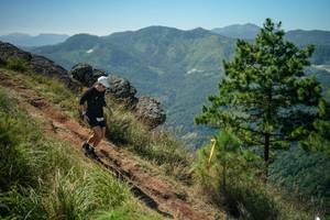 BIB: 
                            <button type="button" onclick="openModal(26635307)" class="btn btn-primary btn-sm float-right btn-popup" data-toggle="modal" data-target=".modal-high-quality">
                        <i class="fas fa-shopping-cart"></i> Add to Cart
                    </button>
                                            <button type="button" onclick="isThisMe(26635307, true)" class="btn btn-success btn-sm float-right btn-popup btn-isme hidden" data-toggle="tooltip" data-placement="bottom" title="นี่คือรูปของคุณใช่ไหม คลิกที่นี่เพื่อเอาเข้าอัลบั้ม">
                        <i class="fas fa-plus"></i> Add to album
                    </button>
                    <button type="button" onclick="isThisMe(26635307, false)" class="btn btn-warning btn-sm float-right btn-popup btn-isnotme hidden">
                        <i class="fas fa-ban"></i> Remove from album
                    </button>