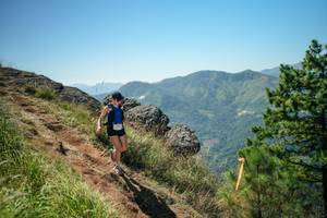 BIB: 
                            <button type="button" onclick="openModal(26634203)" class="btn btn-primary btn-sm float-right btn-popup" data-toggle="modal" data-target=".modal-high-quality">
                        <i class="fas fa-shopping-cart"></i> Add to Cart
                    </button>
                                            <button type="button" onclick="isThisMe(26634203, true)" class="btn btn-success btn-sm float-right btn-popup btn-isme hidden" data-toggle="tooltip" data-placement="bottom" title="นี่คือรูปของคุณใช่ไหม คลิกที่นี่เพื่อเอาเข้าอัลบั้ม">
                        <i class="fas fa-plus"></i> Add to album
                    </button>
                    <button type="button" onclick="isThisMe(26634203, false)" class="btn btn-warning btn-sm float-right btn-popup btn-isnotme hidden">
                        <i class="fas fa-ban"></i> Remove from album
                    </button>