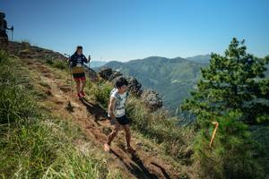 BIB: 
                            <button type="button" onclick="openModal(26631679)" class="btn btn-primary btn-sm float-right btn-popup" data-toggle="modal" data-target=".modal-high-quality">
                        <i class="fas fa-shopping-cart"></i> Add to Cart
                    </button>
                                            <button type="button" onclick="isThisMe(26631679, true)" class="btn btn-success btn-sm float-right btn-popup btn-isme hidden" data-toggle="tooltip" data-placement="bottom" title="นี่คือรูปของคุณใช่ไหม คลิกที่นี่เพื่อเอาเข้าอัลบั้ม">
                        <i class="fas fa-plus"></i> Add to album
                    </button>
                    <button type="button" onclick="isThisMe(26631679, false)" class="btn btn-warning btn-sm float-right btn-popup btn-isnotme hidden">
                        <i class="fas fa-ban"></i> Remove from album
                    </button>