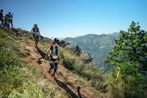 BIB: 
                            <button type="button" onclick="openModal(26631378)" class="btn btn-primary btn-sm float-right btn-popup" data-toggle="modal" data-target=".modal-high-quality">
                        <i class="fas fa-shopping-cart"></i> Add to Cart
                    </button>
                                            <button type="button" onclick="isThisMe(26631378, true)" class="btn btn-success btn-sm float-right btn-popup btn-isme hidden" data-toggle="tooltip" data-placement="bottom" title="นี่คือรูปของคุณใช่ไหม คลิกที่นี่เพื่อเอาเข้าอัลบั้ม">
                        <i class="fas fa-plus"></i> Add to album
                    </button>
                    <button type="button" onclick="isThisMe(26631378, false)" class="btn btn-warning btn-sm float-right btn-popup btn-isnotme hidden">
                        <i class="fas fa-ban"></i> Remove from album
                    </button>