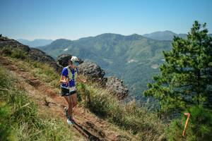 BIB: 
                            <button type="button" onclick="openModal(26633305)" class="btn btn-primary btn-sm float-right btn-popup" data-toggle="modal" data-target=".modal-high-quality">
                        <i class="fas fa-shopping-cart"></i> Add to Cart
                    </button>
                                            <button type="button" onclick="isThisMe(26633305, true)" class="btn btn-success btn-sm float-right btn-popup btn-isme hidden" data-toggle="tooltip" data-placement="bottom" title="นี่คือรูปของคุณใช่ไหม คลิกที่นี่เพื่อเอาเข้าอัลบั้ม">
                        <i class="fas fa-plus"></i> Add to album
                    </button>
                    <button type="button" onclick="isThisMe(26633305, false)" class="btn btn-warning btn-sm float-right btn-popup btn-isnotme hidden">
                        <i class="fas fa-ban"></i> Remove from album
                    </button>