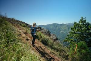 BIB: 
                            <button type="button" onclick="openModal(26632363)" class="btn btn-primary btn-sm float-right btn-popup" data-toggle="modal" data-target=".modal-high-quality">
                        <i class="fas fa-shopping-cart"></i> Add to Cart
                    </button>
                                            <button type="button" onclick="isThisMe(26632363, true)" class="btn btn-success btn-sm float-right btn-popup btn-isme hidden" data-toggle="tooltip" data-placement="bottom" title="นี่คือรูปของคุณใช่ไหม คลิกที่นี่เพื่อเอาเข้าอัลบั้ม">
                        <i class="fas fa-plus"></i> Add to album
                    </button>
                    <button type="button" onclick="isThisMe(26632363, false)" class="btn btn-warning btn-sm float-right btn-popup btn-isnotme hidden">
                        <i class="fas fa-ban"></i> Remove from album
                    </button>