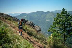 BIB: 
                            <button type="button" onclick="openModal(26635528)" class="btn btn-primary btn-sm float-right btn-popup" data-toggle="modal" data-target=".modal-high-quality">
                        <i class="fas fa-shopping-cart"></i> Add to Cart
                    </button>
                                            <button type="button" onclick="isThisMe(26635528, true)" class="btn btn-success btn-sm float-right btn-popup btn-isme hidden" data-toggle="tooltip" data-placement="bottom" title="นี่คือรูปของคุณใช่ไหม คลิกที่นี่เพื่อเอาเข้าอัลบั้ม">
                        <i class="fas fa-plus"></i> Add to album
                    </button>
                    <button type="button" onclick="isThisMe(26635528, false)" class="btn btn-warning btn-sm float-right btn-popup btn-isnotme hidden">
                        <i class="fas fa-ban"></i> Remove from album
                    </button>