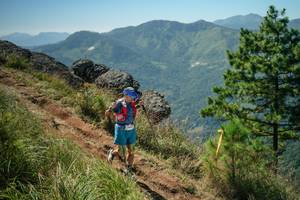 BIB: 
                            <button type="button" onclick="openModal(26635380)" class="btn btn-primary btn-sm float-right btn-popup" data-toggle="modal" data-target=".modal-high-quality">
                        <i class="fas fa-shopping-cart"></i> Add to Cart
                    </button>
                                            <button type="button" onclick="isThisMe(26635380, true)" class="btn btn-success btn-sm float-right btn-popup btn-isme hidden" data-toggle="tooltip" data-placement="bottom" title="นี่คือรูปของคุณใช่ไหม คลิกที่นี่เพื่อเอาเข้าอัลบั้ม">
                        <i class="fas fa-plus"></i> Add to album
                    </button>
                    <button type="button" onclick="isThisMe(26635380, false)" class="btn btn-warning btn-sm float-right btn-popup btn-isnotme hidden">
                        <i class="fas fa-ban"></i> Remove from album
                    </button>