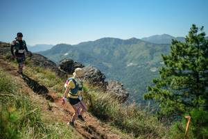 BIB: 
                            <button type="button" onclick="openModal(26633468)" class="btn btn-primary btn-sm float-right btn-popup" data-toggle="modal" data-target=".modal-high-quality">
                        <i class="fas fa-shopping-cart"></i> Add to Cart
                    </button>
                                            <button type="button" onclick="isThisMe(26633468, true)" class="btn btn-success btn-sm float-right btn-popup btn-isme hidden" data-toggle="tooltip" data-placement="bottom" title="นี่คือรูปของคุณใช่ไหม คลิกที่นี่เพื่อเอาเข้าอัลบั้ม">
                        <i class="fas fa-plus"></i> Add to album
                    </button>
                    <button type="button" onclick="isThisMe(26633468, false)" class="btn btn-warning btn-sm float-right btn-popup btn-isnotme hidden">
                        <i class="fas fa-ban"></i> Remove from album
                    </button>