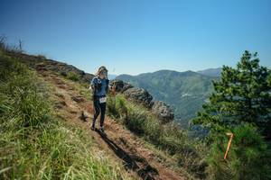 BIB: 
                            <button type="button" onclick="openModal(26632376)" class="btn btn-primary btn-sm float-right btn-popup" data-toggle="modal" data-target=".modal-high-quality">
                        <i class="fas fa-shopping-cart"></i> Add to Cart
                    </button>
                                            <button type="button" onclick="isThisMe(26632376, true)" class="btn btn-success btn-sm float-right btn-popup btn-isme hidden" data-toggle="tooltip" data-placement="bottom" title="นี่คือรูปของคุณใช่ไหม คลิกที่นี่เพื่อเอาเข้าอัลบั้ม">
                        <i class="fas fa-plus"></i> Add to album
                    </button>
                    <button type="button" onclick="isThisMe(26632376, false)" class="btn btn-warning btn-sm float-right btn-popup btn-isnotme hidden">
                        <i class="fas fa-ban"></i> Remove from album
                    </button>