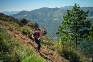 BIB: 
                            <button type="button" onclick="openModal(26635448)" class="btn btn-primary btn-sm float-right btn-popup" data-toggle="modal" data-target=".modal-high-quality">
                        <i class="fas fa-shopping-cart"></i> Add to Cart
                    </button>
                                            <button type="button" onclick="isThisMe(26635448, true)" class="btn btn-success btn-sm float-right btn-popup btn-isme hidden" data-toggle="tooltip" data-placement="bottom" title="นี่คือรูปของคุณใช่ไหม คลิกที่นี่เพื่อเอาเข้าอัลบั้ม">
                        <i class="fas fa-plus"></i> Add to album
                    </button>
                    <button type="button" onclick="isThisMe(26635448, false)" class="btn btn-warning btn-sm float-right btn-popup btn-isnotme hidden">
                        <i class="fas fa-ban"></i> Remove from album
                    </button>