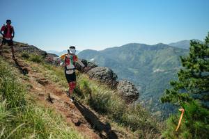 BIB: 
                            <button type="button" onclick="openModal(26633932)" class="btn btn-primary btn-sm float-right btn-popup" data-toggle="modal" data-target=".modal-high-quality">
                        <i class="fas fa-shopping-cart"></i> Add to Cart
                    </button>
                                            <button type="button" onclick="isThisMe(26633932, true)" class="btn btn-success btn-sm float-right btn-popup btn-isme hidden" data-toggle="tooltip" data-placement="bottom" title="นี่คือรูปของคุณใช่ไหม คลิกที่นี่เพื่อเอาเข้าอัลบั้ม">
                        <i class="fas fa-plus"></i> Add to album
                    </button>
                    <button type="button" onclick="isThisMe(26633932, false)" class="btn btn-warning btn-sm float-right btn-popup btn-isnotme hidden">
                        <i class="fas fa-ban"></i> Remove from album
                    </button>