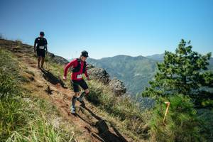 BIB: 
                            <button type="button" onclick="openModal(26631573)" class="btn btn-primary btn-sm float-right btn-popup" data-toggle="modal" data-target=".modal-high-quality">
                        <i class="fas fa-shopping-cart"></i> Add to Cart
                    </button>
                                            <button type="button" onclick="isThisMe(26631573, true)" class="btn btn-success btn-sm float-right btn-popup btn-isme hidden" data-toggle="tooltip" data-placement="bottom" title="นี่คือรูปของคุณใช่ไหม คลิกที่นี่เพื่อเอาเข้าอัลบั้ม">
                        <i class="fas fa-plus"></i> Add to album
                    </button>
                    <button type="button" onclick="isThisMe(26631573, false)" class="btn btn-warning btn-sm float-right btn-popup btn-isnotme hidden">
                        <i class="fas fa-ban"></i> Remove from album
                    </button>