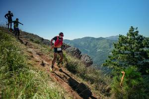 BIB: 
                            <button type="button" onclick="openModal(26632255)" class="btn btn-primary btn-sm float-right btn-popup" data-toggle="modal" data-target=".modal-high-quality">
                        <i class="fas fa-shopping-cart"></i> Add to Cart
                    </button>
                                            <button type="button" onclick="isThisMe(26632255, true)" class="btn btn-success btn-sm float-right btn-popup btn-isme hidden" data-toggle="tooltip" data-placement="bottom" title="นี่คือรูปของคุณใช่ไหม คลิกที่นี่เพื่อเอาเข้าอัลบั้ม">
                        <i class="fas fa-plus"></i> Add to album
                    </button>
                    <button type="button" onclick="isThisMe(26632255, false)" class="btn btn-warning btn-sm float-right btn-popup btn-isnotme hidden">
                        <i class="fas fa-ban"></i> Remove from album
                    </button>