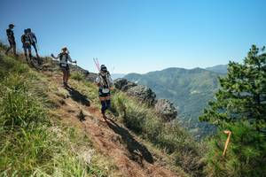 BIB: 
                            <button type="button" onclick="openModal(26631375)" class="btn btn-primary btn-sm float-right btn-popup" data-toggle="modal" data-target=".modal-high-quality">
                        <i class="fas fa-shopping-cart"></i> Add to Cart
                    </button>
                                            <button type="button" onclick="isThisMe(26631375, true)" class="btn btn-success btn-sm float-right btn-popup btn-isme hidden" data-toggle="tooltip" data-placement="bottom" title="นี่คือรูปของคุณใช่ไหม คลิกที่นี่เพื่อเอาเข้าอัลบั้ม">
                        <i class="fas fa-plus"></i> Add to album
                    </button>
                    <button type="button" onclick="isThisMe(26631375, false)" class="btn btn-warning btn-sm float-right btn-popup btn-isnotme hidden">
                        <i class="fas fa-ban"></i> Remove from album
                    </button>