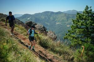 BIB: 
                            <button type="button" onclick="openModal(26633315)" class="btn btn-primary btn-sm float-right btn-popup" data-toggle="modal" data-target=".modal-high-quality">
                        <i class="fas fa-shopping-cart"></i> Add to Cart
                    </button>
                                            <button type="button" onclick="isThisMe(26633315, true)" class="btn btn-success btn-sm float-right btn-popup btn-isme hidden" data-toggle="tooltip" data-placement="bottom" title="นี่คือรูปของคุณใช่ไหม คลิกที่นี่เพื่อเอาเข้าอัลบั้ม">
                        <i class="fas fa-plus"></i> Add to album
                    </button>
                    <button type="button" onclick="isThisMe(26633315, false)" class="btn btn-warning btn-sm float-right btn-popup btn-isnotme hidden">
                        <i class="fas fa-ban"></i> Remove from album
                    </button>