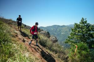 BIB: 
                            <button type="button" onclick="openModal(26631567)" class="btn btn-primary btn-sm float-right btn-popup" data-toggle="modal" data-target=".modal-high-quality">
                        <i class="fas fa-shopping-cart"></i> Add to Cart
                    </button>
                                            <button type="button" onclick="isThisMe(26631567, true)" class="btn btn-success btn-sm float-right btn-popup btn-isme hidden" data-toggle="tooltip" data-placement="bottom" title="นี่คือรูปของคุณใช่ไหม คลิกที่นี่เพื่อเอาเข้าอัลบั้ม">
                        <i class="fas fa-plus"></i> Add to album
                    </button>
                    <button type="button" onclick="isThisMe(26631567, false)" class="btn btn-warning btn-sm float-right btn-popup btn-isnotme hidden">
                        <i class="fas fa-ban"></i> Remove from album
                    </button>