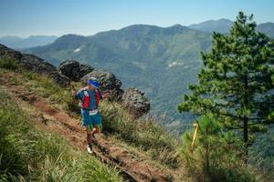 BIB: 
                            <button type="button" onclick="openModal(26635370)" class="btn btn-primary btn-sm float-right btn-popup" data-toggle="modal" data-target=".modal-high-quality">
                        <i class="fas fa-shopping-cart"></i> Add to Cart
                    </button>
                                            <button type="button" onclick="isThisMe(26635370, true)" class="btn btn-success btn-sm float-right btn-popup btn-isme hidden" data-toggle="tooltip" data-placement="bottom" title="นี่คือรูปของคุณใช่ไหม คลิกที่นี่เพื่อเอาเข้าอัลบั้ม">
                        <i class="fas fa-plus"></i> Add to album
                    </button>
                    <button type="button" onclick="isThisMe(26635370, false)" class="btn btn-warning btn-sm float-right btn-popup btn-isnotme hidden">
                        <i class="fas fa-ban"></i> Remove from album
                    </button>