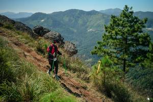 BIB: 
                            <button type="button" onclick="openModal(26635242)" class="btn btn-primary btn-sm float-right btn-popup" data-toggle="modal" data-target=".modal-high-quality">
                        <i class="fas fa-shopping-cart"></i> Add to Cart
                    </button>
                                            <button type="button" onclick="isThisMe(26635242, true)" class="btn btn-success btn-sm float-right btn-popup btn-isme hidden" data-toggle="tooltip" data-placement="bottom" title="นี่คือรูปของคุณใช่ไหม คลิกที่นี่เพื่อเอาเข้าอัลบั้ม">
                        <i class="fas fa-plus"></i> Add to album
                    </button>
                    <button type="button" onclick="isThisMe(26635242, false)" class="btn btn-warning btn-sm float-right btn-popup btn-isnotme hidden">
                        <i class="fas fa-ban"></i> Remove from album
                    </button>