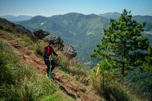 BIB: 
                            <button type="button" onclick="openModal(26635236)" class="btn btn-primary btn-sm float-right btn-popup" data-toggle="modal" data-target=".modal-high-quality">
                        <i class="fas fa-shopping-cart"></i> Add to Cart
                    </button>
                                            <button type="button" onclick="isThisMe(26635236, true)" class="btn btn-success btn-sm float-right btn-popup btn-isme hidden" data-toggle="tooltip" data-placement="bottom" title="นี่คือรูปของคุณใช่ไหม คลิกที่นี่เพื่อเอาเข้าอัลบั้ม">
                        <i class="fas fa-plus"></i> Add to album
                    </button>
                    <button type="button" onclick="isThisMe(26635236, false)" class="btn btn-warning btn-sm float-right btn-popup btn-isnotme hidden">
                        <i class="fas fa-ban"></i> Remove from album
                    </button>