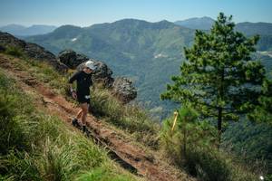 BIB: 
                            <button type="button" onclick="openModal(26635317)" class="btn btn-primary btn-sm float-right btn-popup" data-toggle="modal" data-target=".modal-high-quality">
                        <i class="fas fa-shopping-cart"></i> Add to Cart
                    </button>
                                            <button type="button" onclick="isThisMe(26635317, true)" class="btn btn-success btn-sm float-right btn-popup btn-isme hidden" data-toggle="tooltip" data-placement="bottom" title="นี่คือรูปของคุณใช่ไหม คลิกที่นี่เพื่อเอาเข้าอัลบั้ม">
                        <i class="fas fa-plus"></i> Add to album
                    </button>
                    <button type="button" onclick="isThisMe(26635317, false)" class="btn btn-warning btn-sm float-right btn-popup btn-isnotme hidden">
                        <i class="fas fa-ban"></i> Remove from album
                    </button>