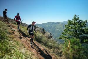 BIB: 
                            <button type="button" onclick="openModal(26631544)" class="btn btn-primary btn-sm float-right btn-popup" data-toggle="modal" data-target=".modal-high-quality">
                        <i class="fas fa-shopping-cart"></i> Add to Cart
                    </button>
                                            <button type="button" onclick="isThisMe(26631544, true)" class="btn btn-success btn-sm float-right btn-popup btn-isme hidden" data-toggle="tooltip" data-placement="bottom" title="นี่คือรูปของคุณใช่ไหม คลิกที่นี่เพื่อเอาเข้าอัลบั้ม">
                        <i class="fas fa-plus"></i> Add to album
                    </button>
                    <button type="button" onclick="isThisMe(26631544, false)" class="btn btn-warning btn-sm float-right btn-popup btn-isnotme hidden">
                        <i class="fas fa-ban"></i> Remove from album
                    </button>