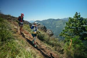 BIB: 
                            <button type="button" onclick="openModal(26631638)" class="btn btn-primary btn-sm float-right btn-popup" data-toggle="modal" data-target=".modal-high-quality">
                        <i class="fas fa-shopping-cart"></i> Add to Cart
                    </button>
                                            <button type="button" onclick="isThisMe(26631638, true)" class="btn btn-success btn-sm float-right btn-popup btn-isme hidden" data-toggle="tooltip" data-placement="bottom" title="นี่คือรูปของคุณใช่ไหม คลิกที่นี่เพื่อเอาเข้าอัลบั้ม">
                        <i class="fas fa-plus"></i> Add to album
                    </button>
                    <button type="button" onclick="isThisMe(26631638, false)" class="btn btn-warning btn-sm float-right btn-popup btn-isnotme hidden">
                        <i class="fas fa-ban"></i> Remove from album
                    </button>