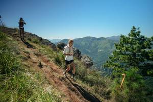 BIB: 
                            <button type="button" onclick="openModal(26631832)" class="btn btn-primary btn-sm float-right btn-popup" data-toggle="modal" data-target=".modal-high-quality">
                        <i class="fas fa-shopping-cart"></i> Add to Cart
                    </button>
                                            <button type="button" onclick="isThisMe(26631832, true)" class="btn btn-success btn-sm float-right btn-popup btn-isme hidden" data-toggle="tooltip" data-placement="bottom" title="นี่คือรูปของคุณใช่ไหม คลิกที่นี่เพื่อเอาเข้าอัลบั้ม">
                        <i class="fas fa-plus"></i> Add to album
                    </button>
                    <button type="button" onclick="isThisMe(26631832, false)" class="btn btn-warning btn-sm float-right btn-popup btn-isnotme hidden">
                        <i class="fas fa-ban"></i> Remove from album
                    </button>