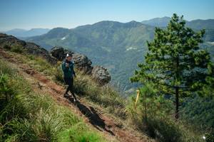 BIB: 
                            <button type="button" onclick="openModal(26635077)" class="btn btn-primary btn-sm float-right btn-popup" data-toggle="modal" data-target=".modal-high-quality">
                        <i class="fas fa-shopping-cart"></i> Add to Cart
                    </button>
                                            <button type="button" onclick="isThisMe(26635077, true)" class="btn btn-success btn-sm float-right btn-popup btn-isme hidden" data-toggle="tooltip" data-placement="bottom" title="นี่คือรูปของคุณใช่ไหม คลิกที่นี่เพื่อเอาเข้าอัลบั้ม">
                        <i class="fas fa-plus"></i> Add to album
                    </button>
                    <button type="button" onclick="isThisMe(26635077, false)" class="btn btn-warning btn-sm float-right btn-popup btn-isnotme hidden">
                        <i class="fas fa-ban"></i> Remove from album
                    </button>